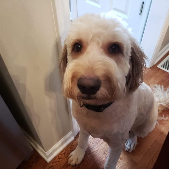 Not For Sale - Picture 2 of 2